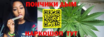 дмт Обь