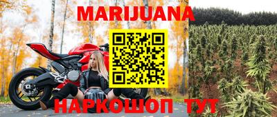 прущие крисы Партизанск