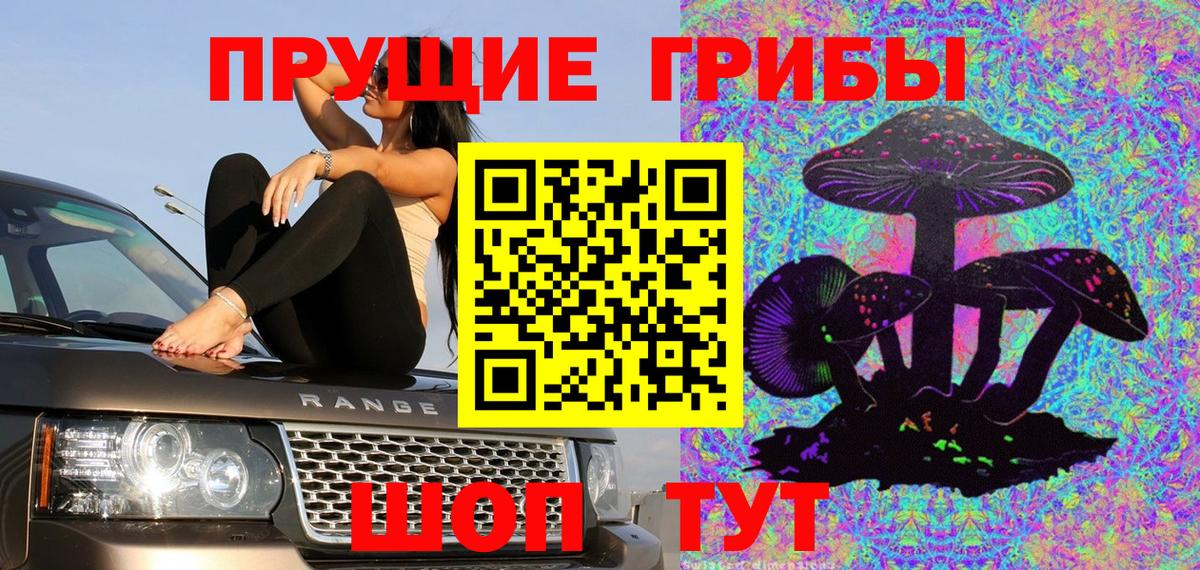Самара  Псилоцибиновые грибы GOLDEN TEACHER  Псилоцибиновые грибы Magic Shrooms  Вход с VPN 